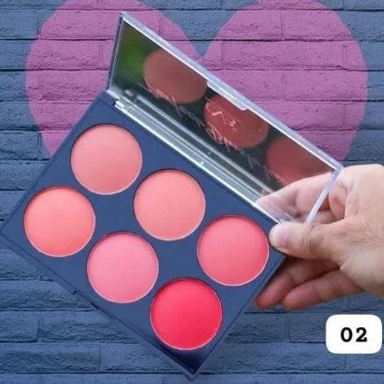 CVB Blush & Contour Kit