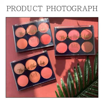 CVB Blush & Contour Kit