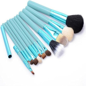 12 Pcs Brush Set