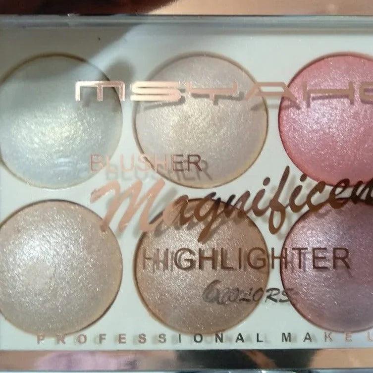 MSYAHO 6 in 1 Terracotta Blusher Kit